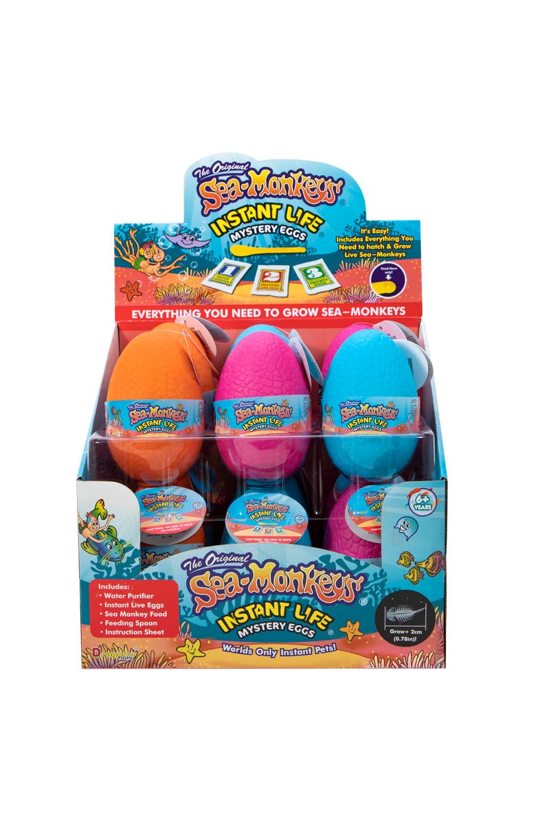 Schylling Seamonkey Mystery Eggs Instant Pet Set, Alternate, color, Multicolored
