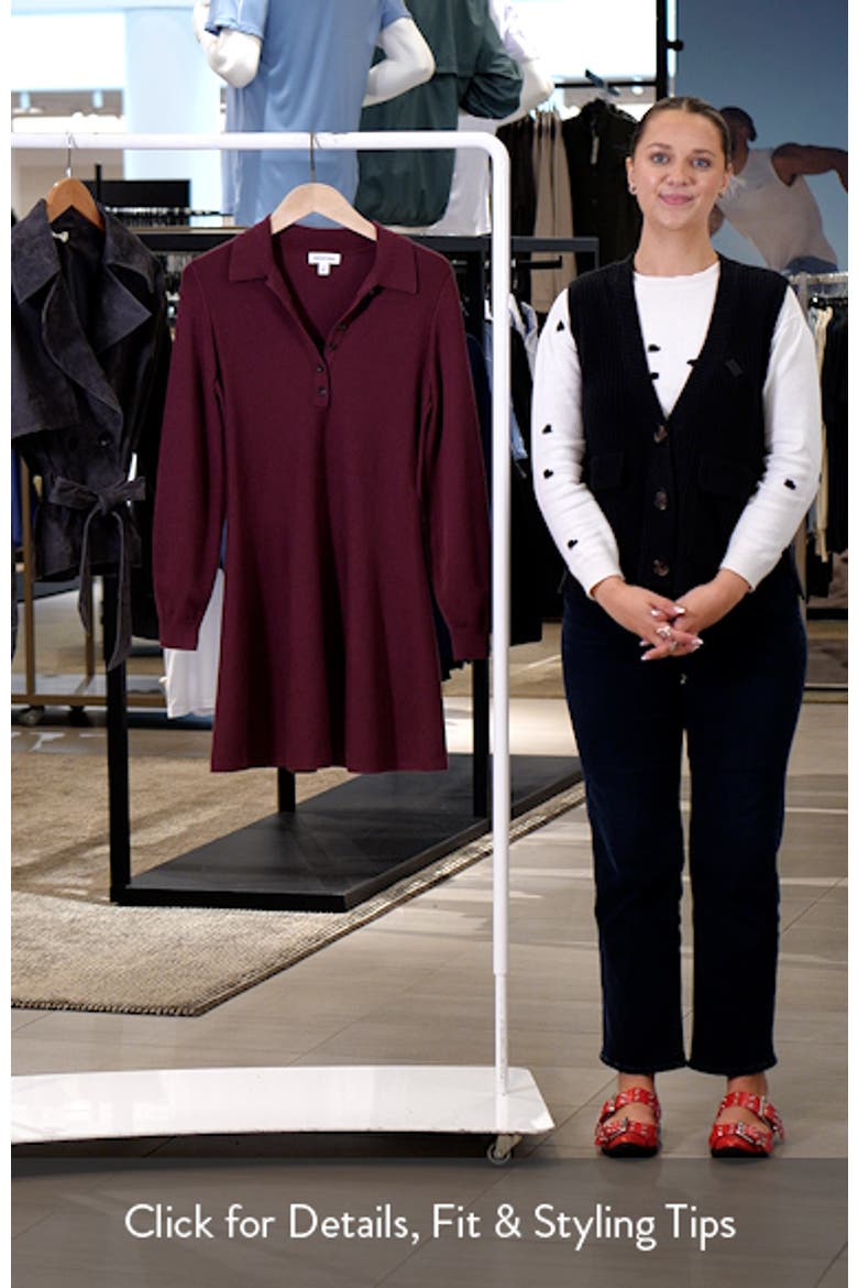 Polo Long Sleeve Minidress video