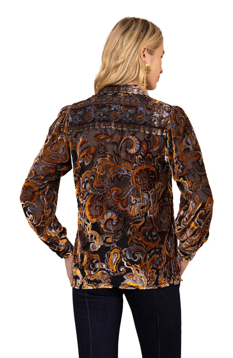 Hale Bob Kaiya Burnout Top, Alternate, color, Black