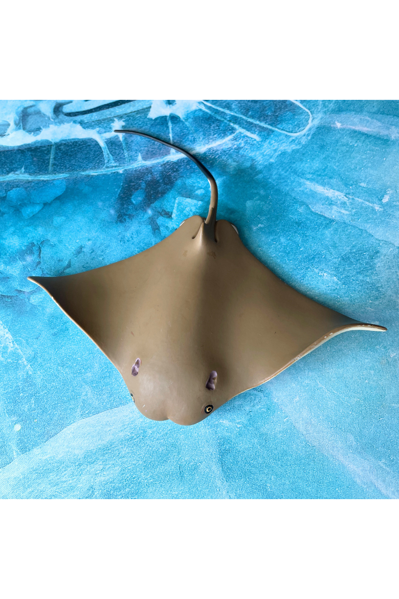 Cownose Ray Toy, Alternate, color, No Color