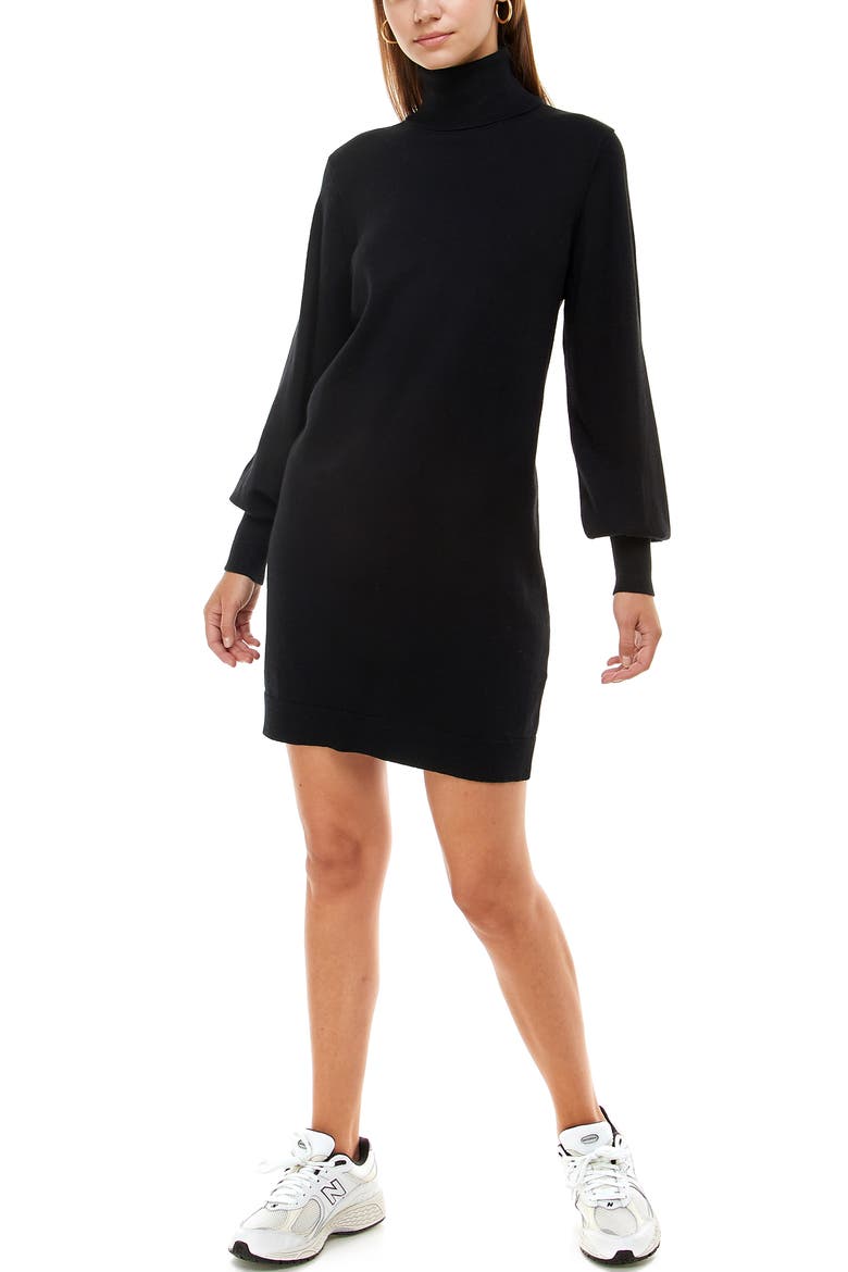 Morela Long Sleeve Turtleneck Sweater Dress, Alternate, color, BLACK