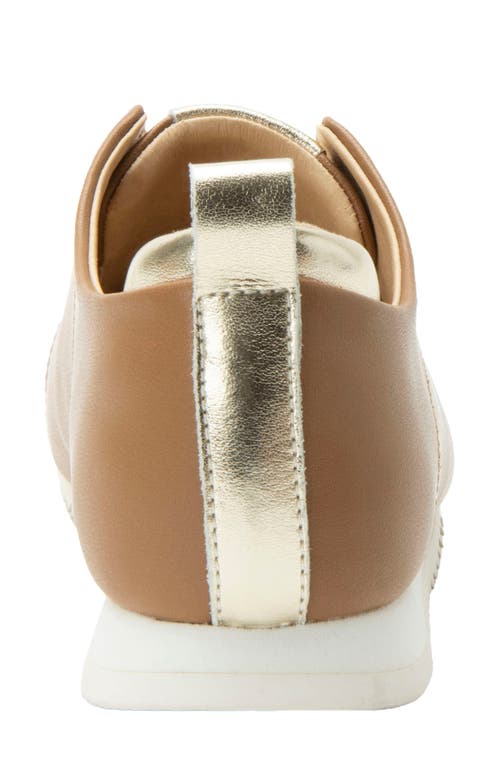 Alegria By Pg Lite Reah Slip-on Sneaker In Brown