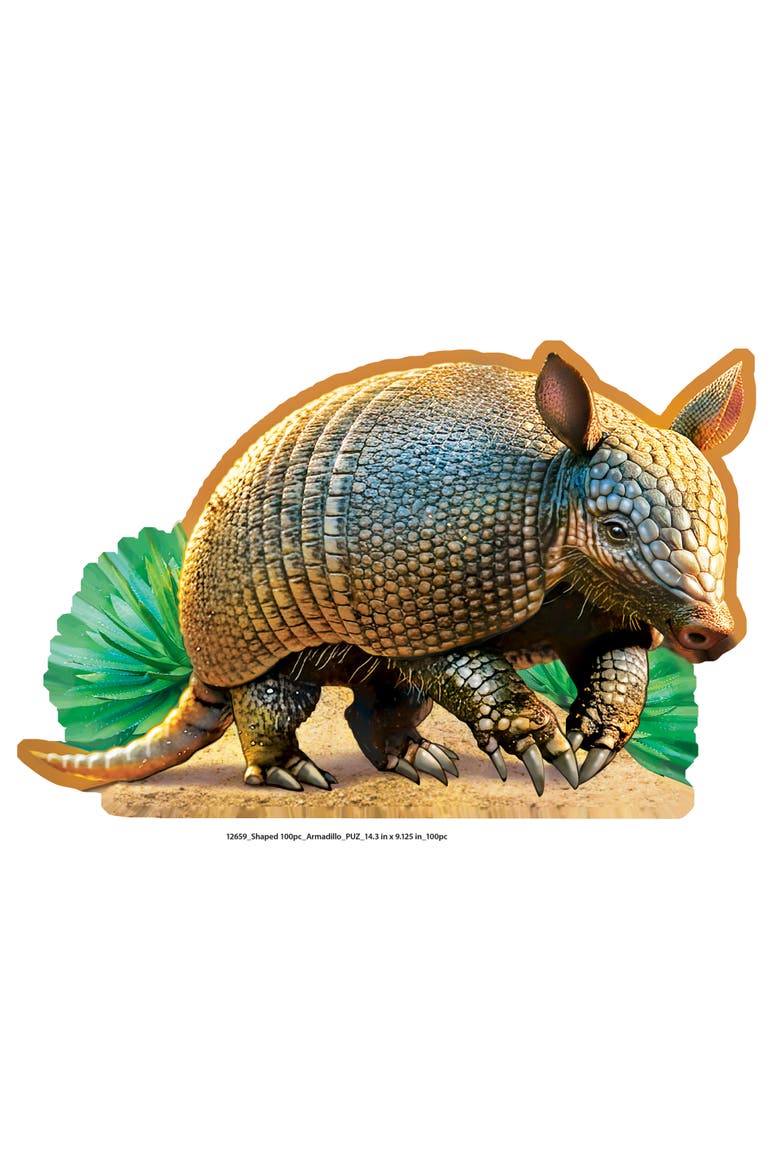Armadillo 100 Piece Shaped Jigsaw Puzzle, Alternate, color, Multicolor