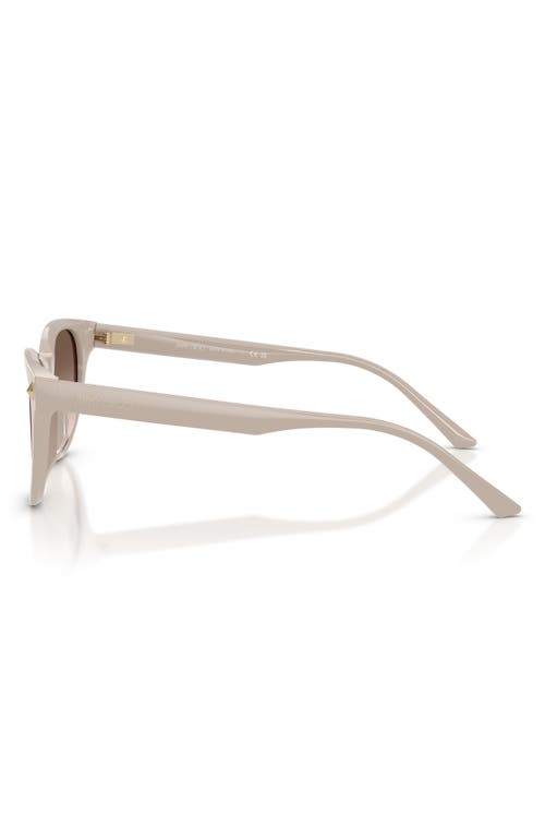 Jimmy Choo Trace 53mm Phantos Sunglasses In Multi