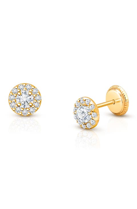 14K Gold Brilliant Halo Studs Screw Back Earrings