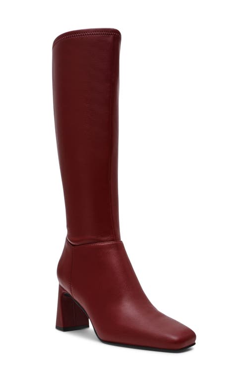 Steve Madden Hunny Knee High Boot In Multi