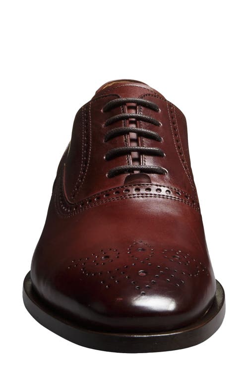 Allen Edmonds Siena Brogue Oxford