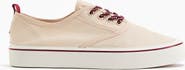 H&M Cotton Canvas Trainers