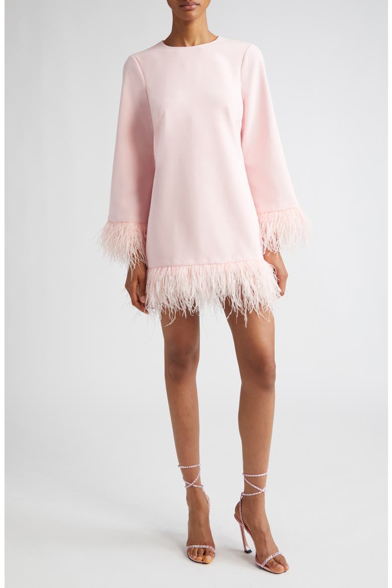 Marullo Feather Trim Long Sleeve Dress, Main, color, ROSE SHADOW
