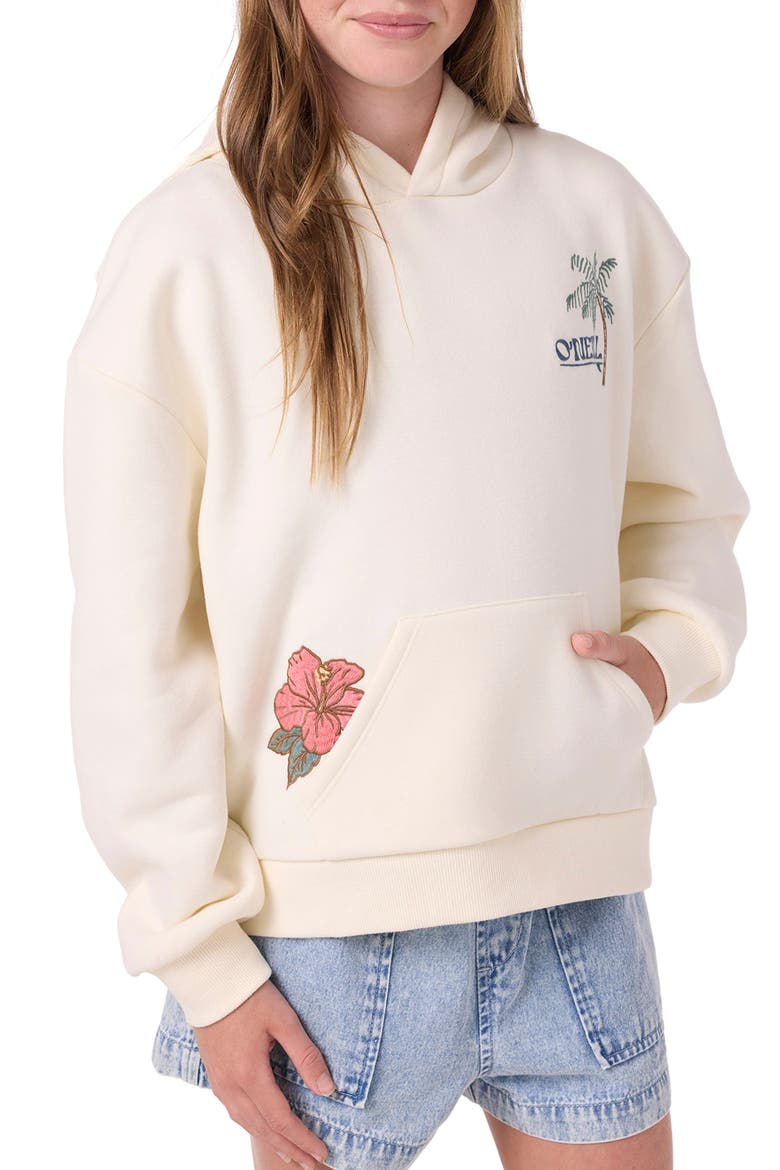 Kids' Asher Embroidered Hoodie, Alternate, color, WINTER WHITE