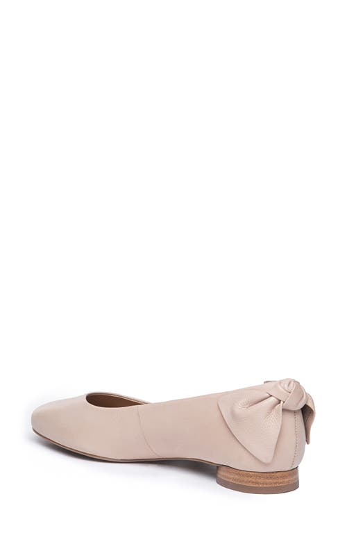 BERNARDO FOOTWEAR BERNARDO FOOTWEAR BERNARDO ELOISE BOW FLAT