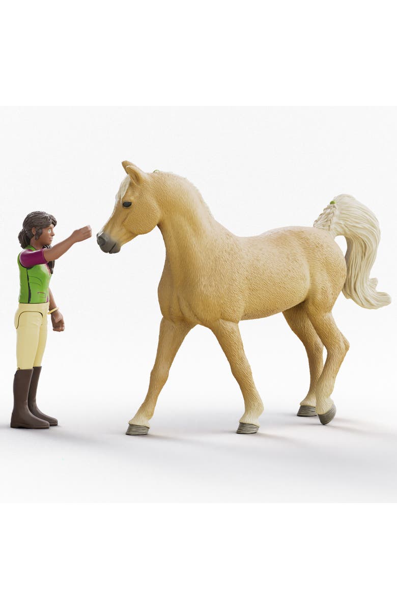 Schleich Horse Club Sarah and Mystery 6 Piece Playset, Alternate, color, Multicolored