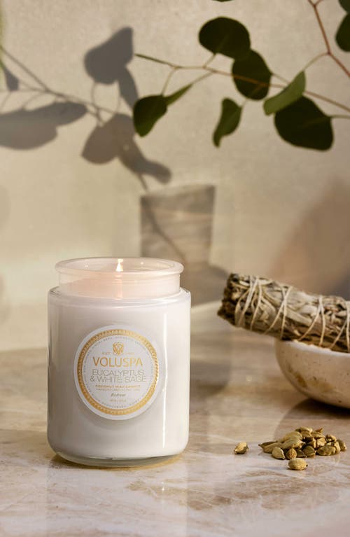 Voluspa Eucalyptus & White Sage Large Jar Candle In Eucalyptus & White Sage