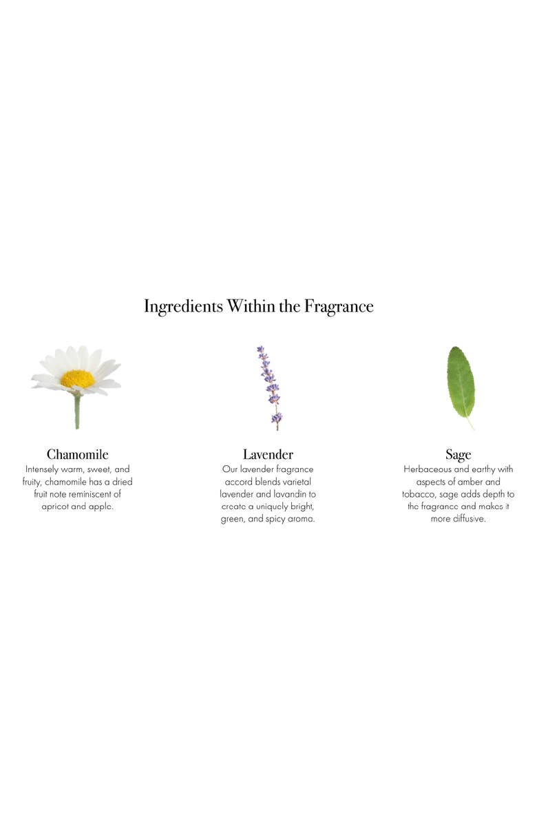 Lafco Chamomile Lavender Classic Candle, Alternate, color, Beige