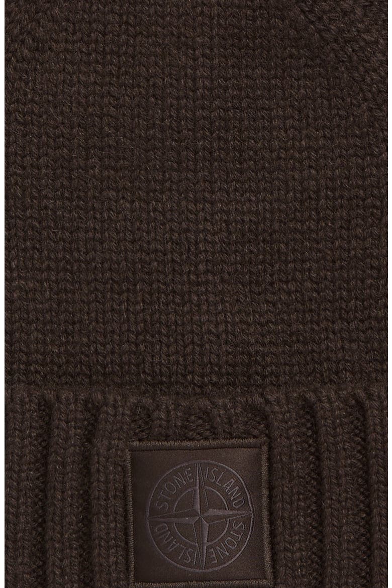 Ghost Cuffed Cashmere Beanie, Alternate, color, V0070 DARK BROWN