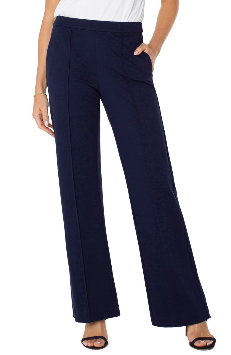 Liverpool Los Angeles Pleat Front Wide Leg Pants, Alternate, color, Cadet Blue