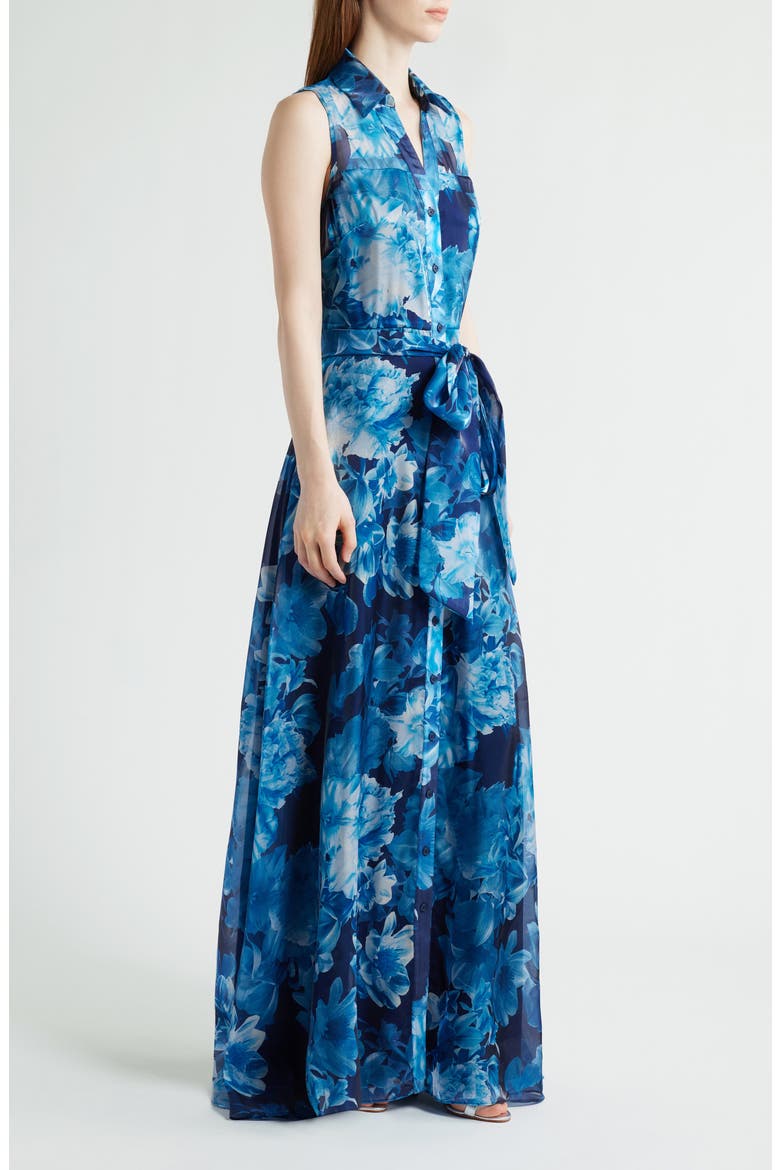Floral Sleeveless Organza Gown, Alternate, color, BLUE MULTI