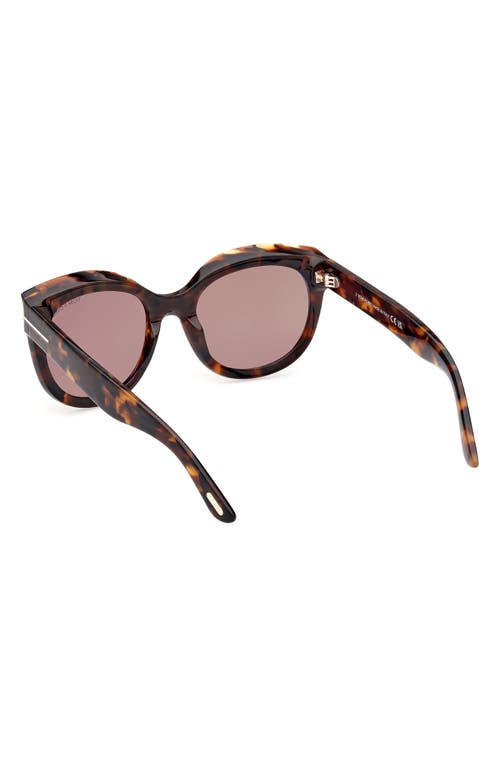 Tom Ford Tamara 54mm Round Sunglasses In Dark Havana/brown
