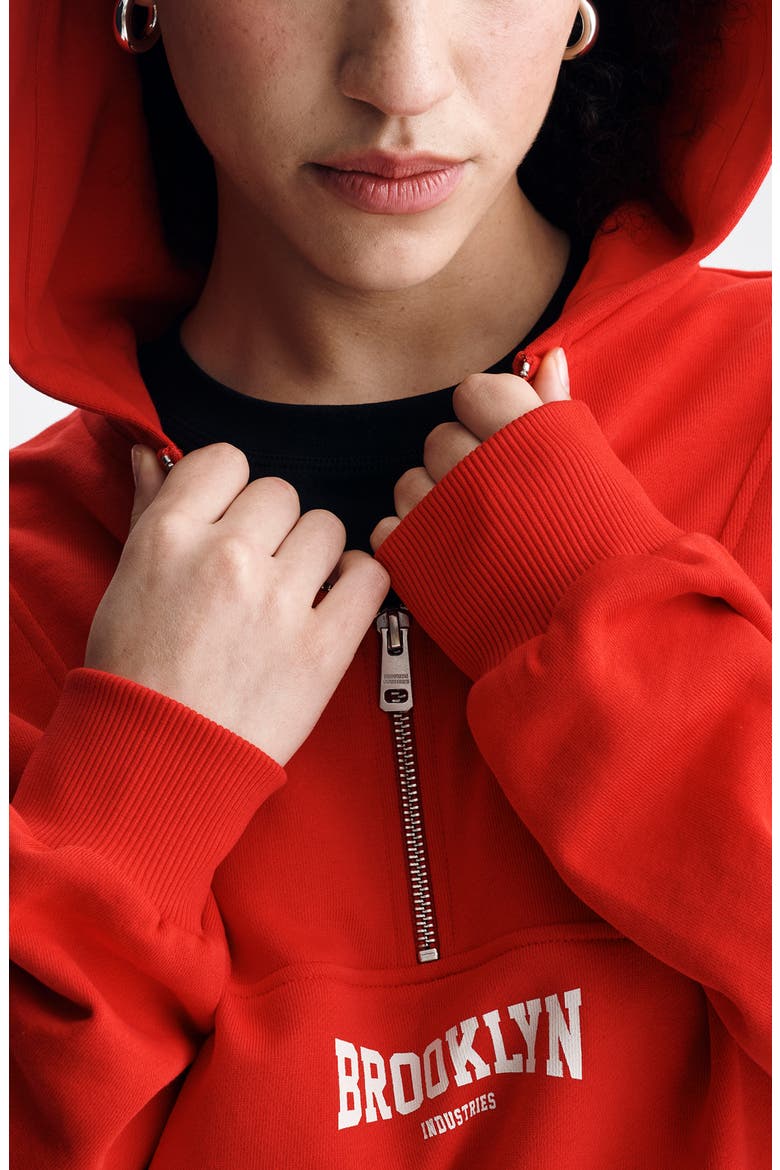 Half Zip Graphic Hoodie, Alternate, color, GOJI BERRY