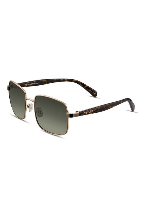 Velvet Eyewear Ruby Sunglasses In Gold 3