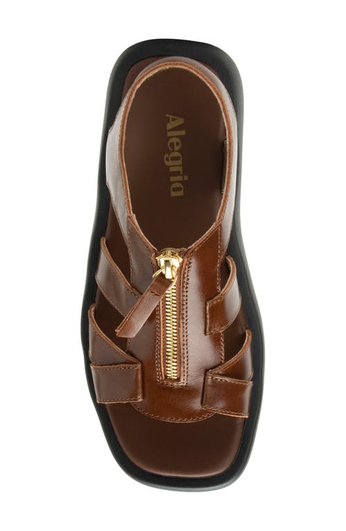 Alegria By Pg Lite Palmer Sandal