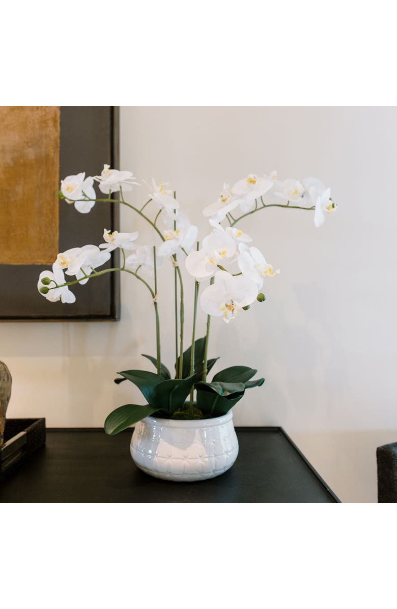 CG Hunter Artificial 4-Stem Phalaenopsis White Orchid, Alternate, color, White