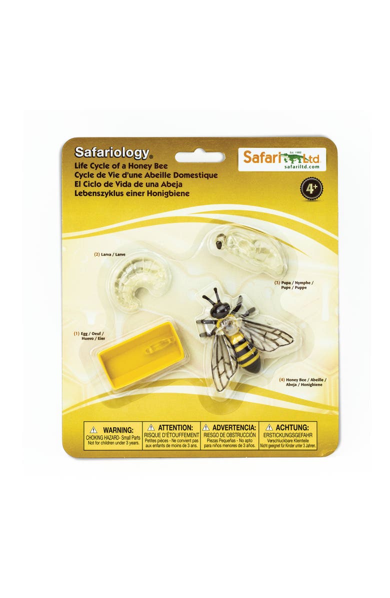 Safari Ltd. Life Cycle Of A Honey Bee, Main, color, NO COLOR