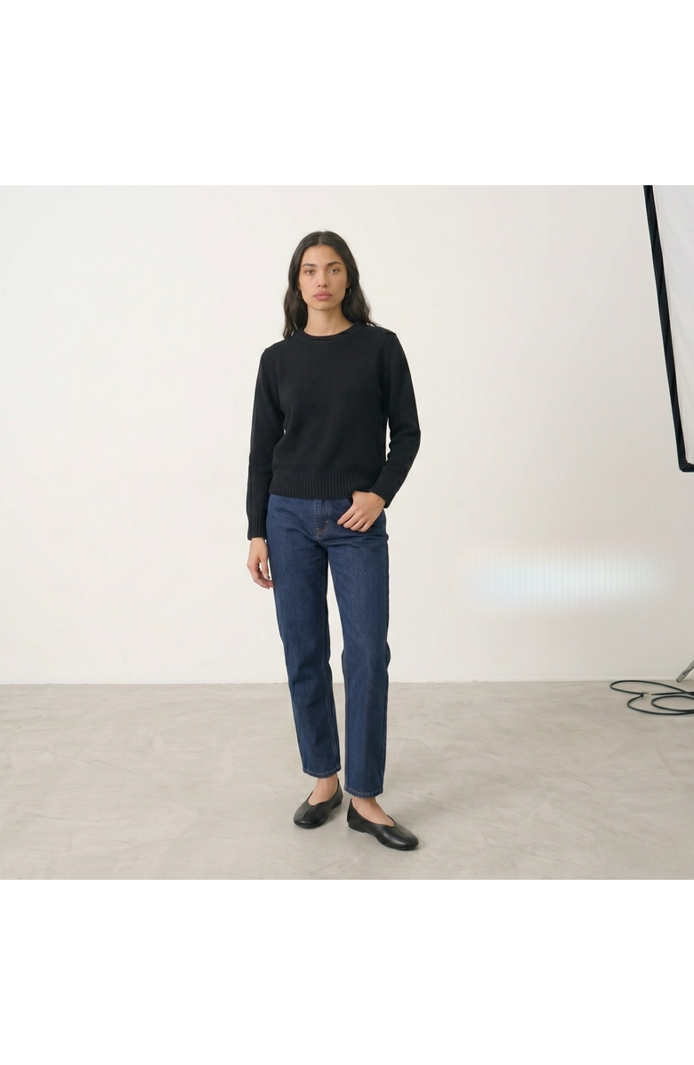 Amie Rafa Erika Leather Ballet Flats, Alternate, color, Black