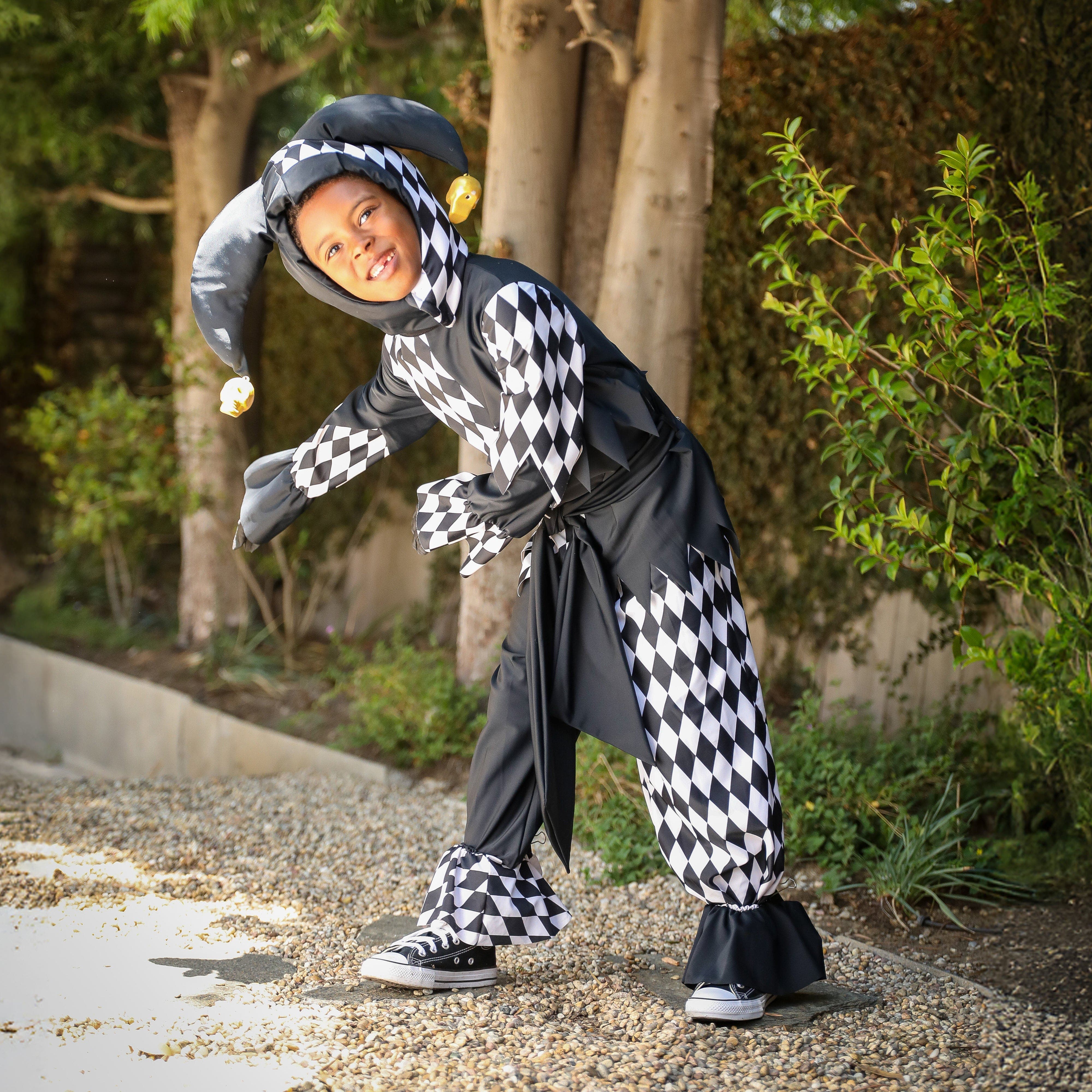A Leading Role Jester Dress Up | Nordstrom