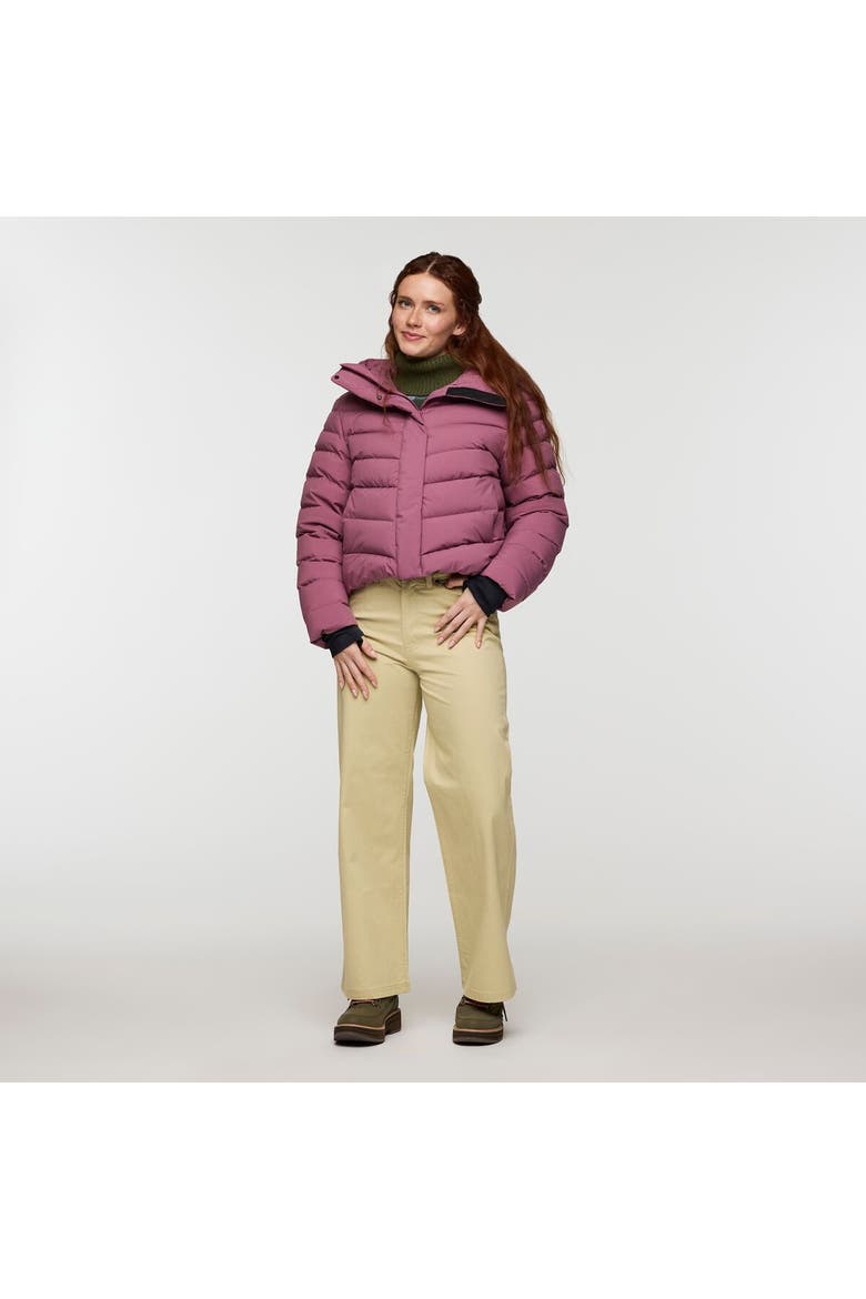 Alivio Down Jacket - Women's, Alternate, color, Fig