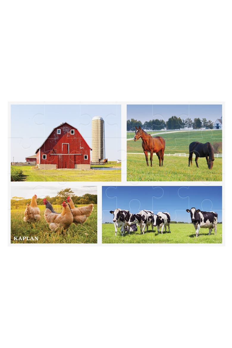Real Photo 24-Piece Floor Puzzles - Set of 4, Alternate, color, Multicolor