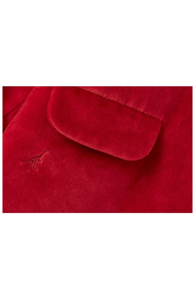 Vild House of Little Organic Cotton Velvet Jacket, Alternate, color, Red
