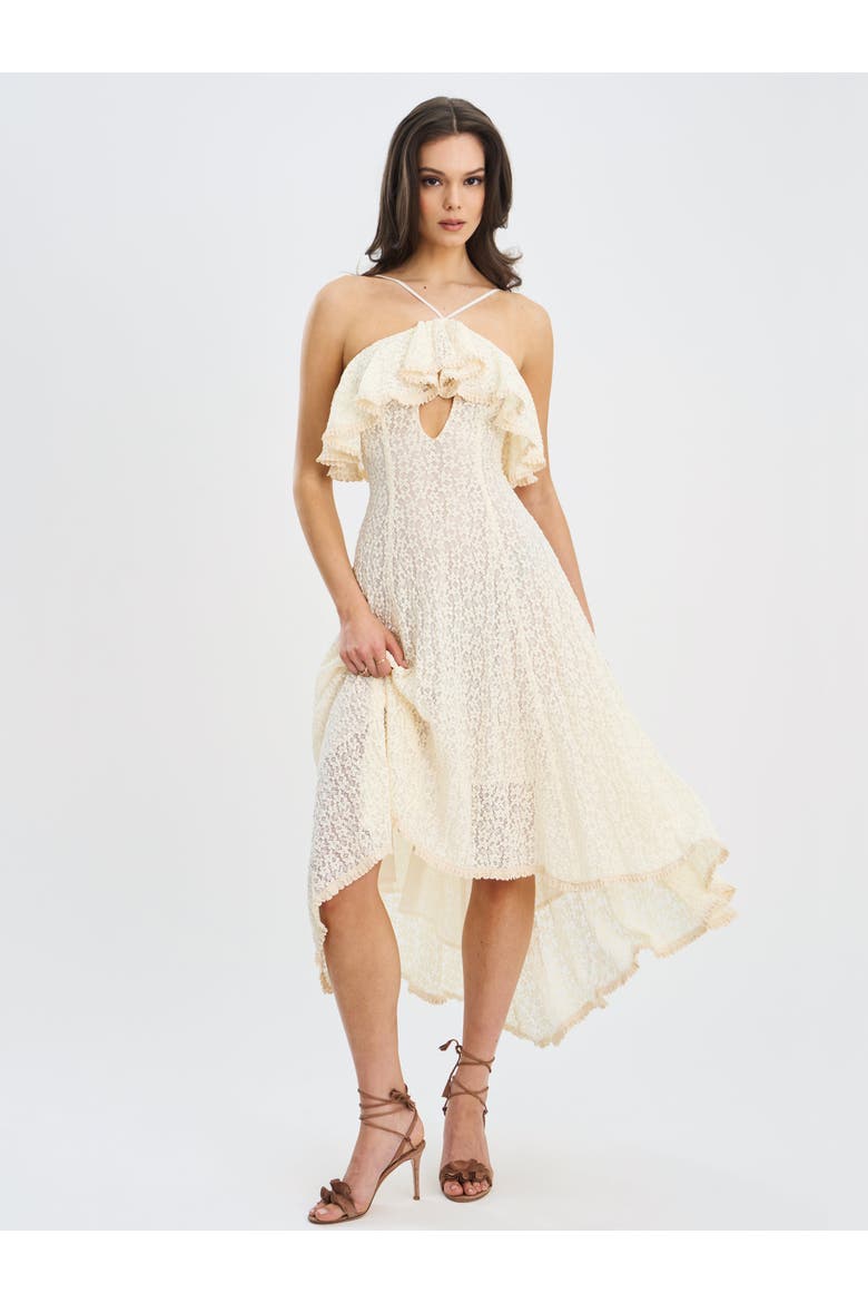 Idra Lace Trim Sleeveless Crochet Midi Trailing Dress, Alternate, color, Soft beige floral crochet