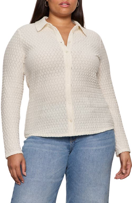 Sanctuary Dreamer Textured Bubble Knit Button-Up Shirt in Chalk White at Nordstrom, Size 1X