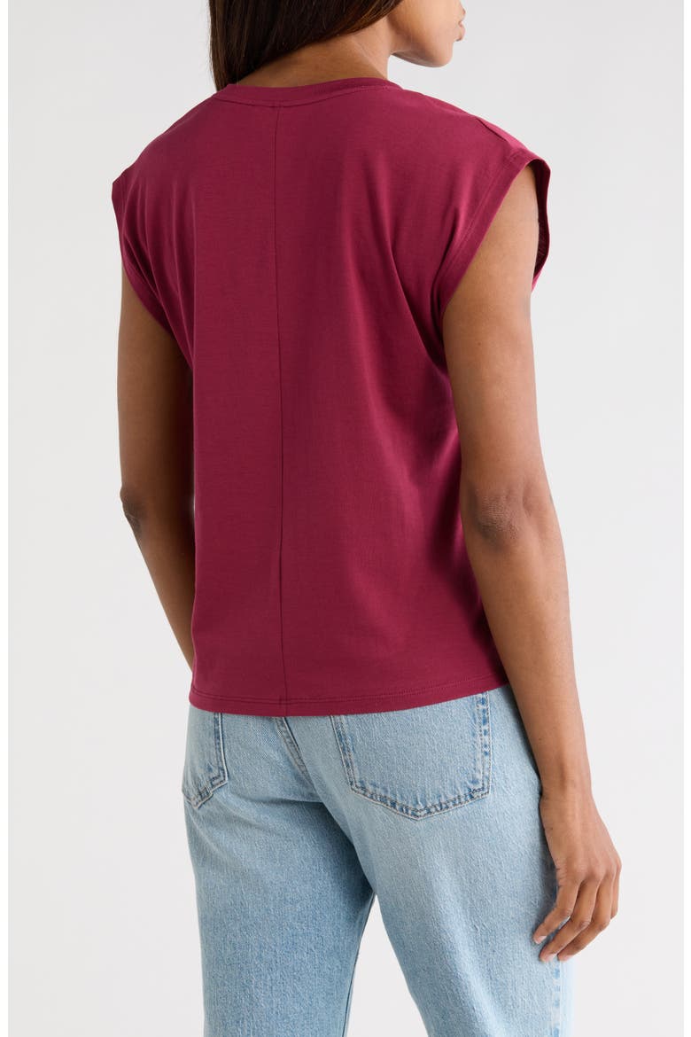 V-Neck Pima Cotton T-Shirt, Alternate, color, BURGUNDY RHODE