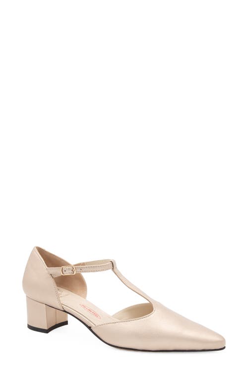 Amalfi by Rangoni Pipistrello Pointed Toe Pump in Saturn Etoile 