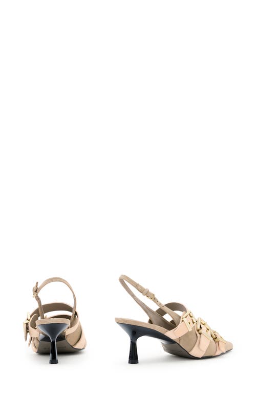 Allsaints Vivian Slingback Pointed Toe Pump In Sand Brown