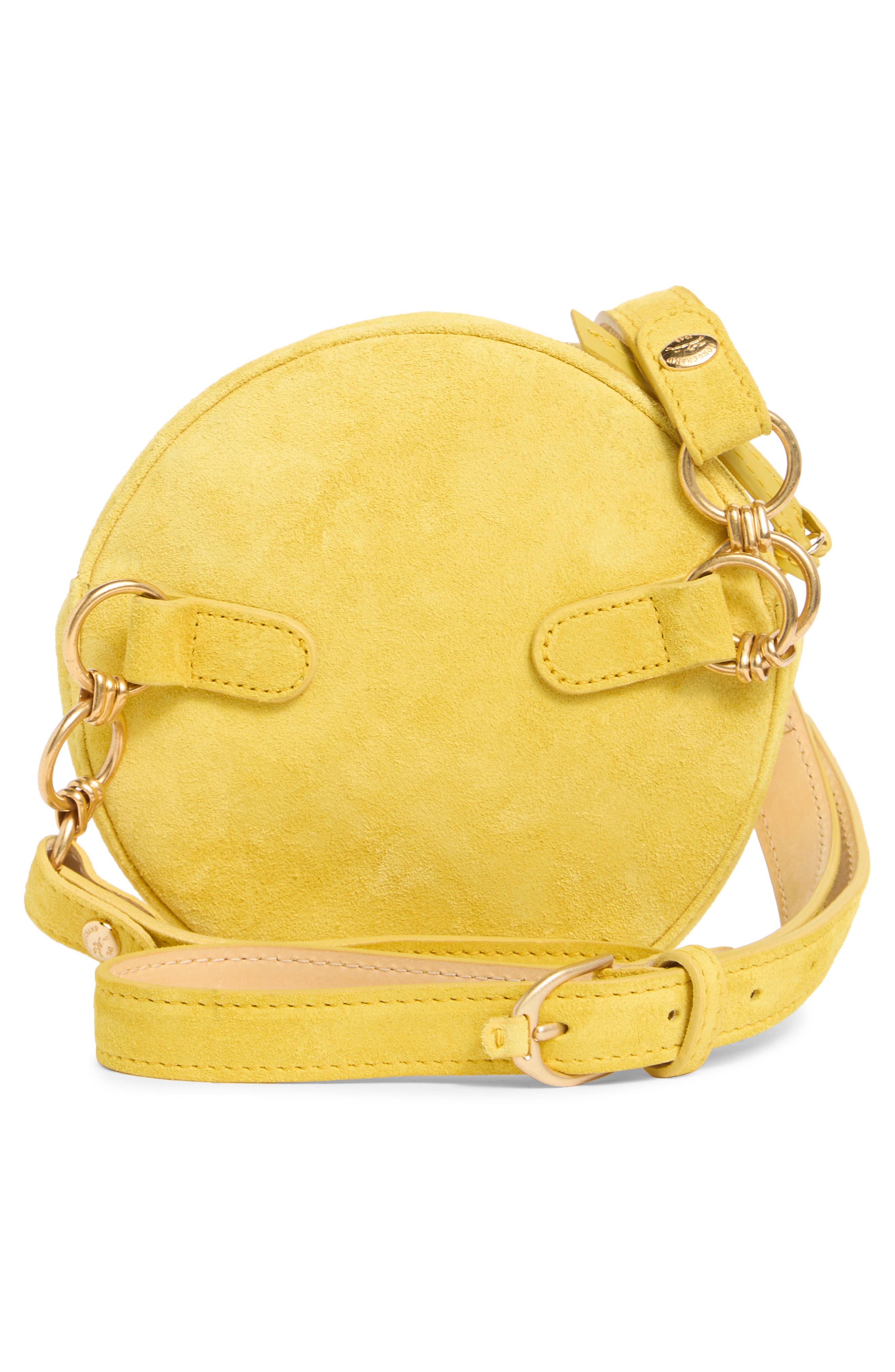 Longchamp Cavalcade Suede Belt Bag, Alternate, color, Acid