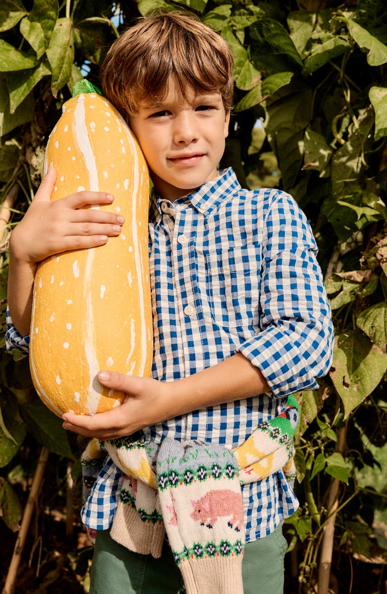 Mini Boden Kids' Gingham Check Cotton Buttion-Down Shirt, Alternate, color, Blue Gingham