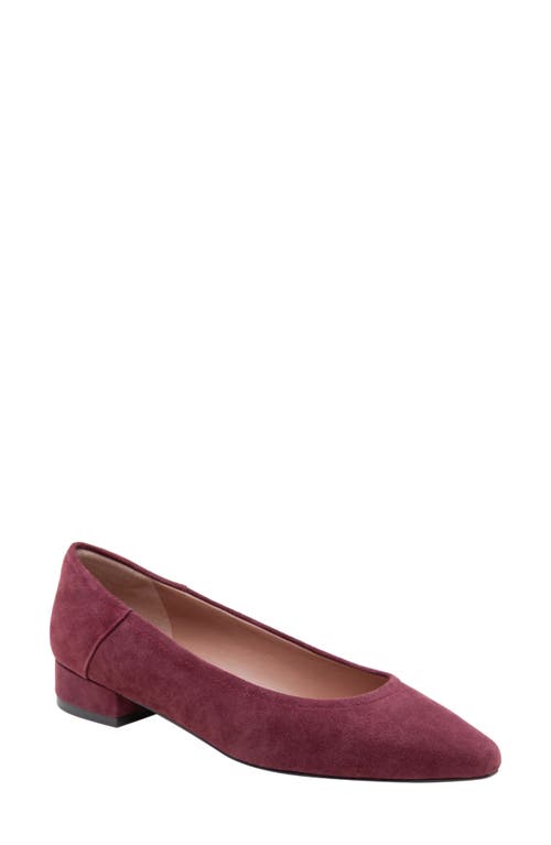 Linea Paolo Becky Pump in Dark Burgundy  product