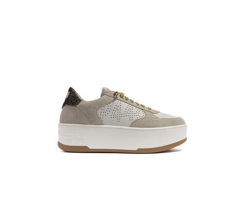 P448 Empire Platform Sneaker In Multi