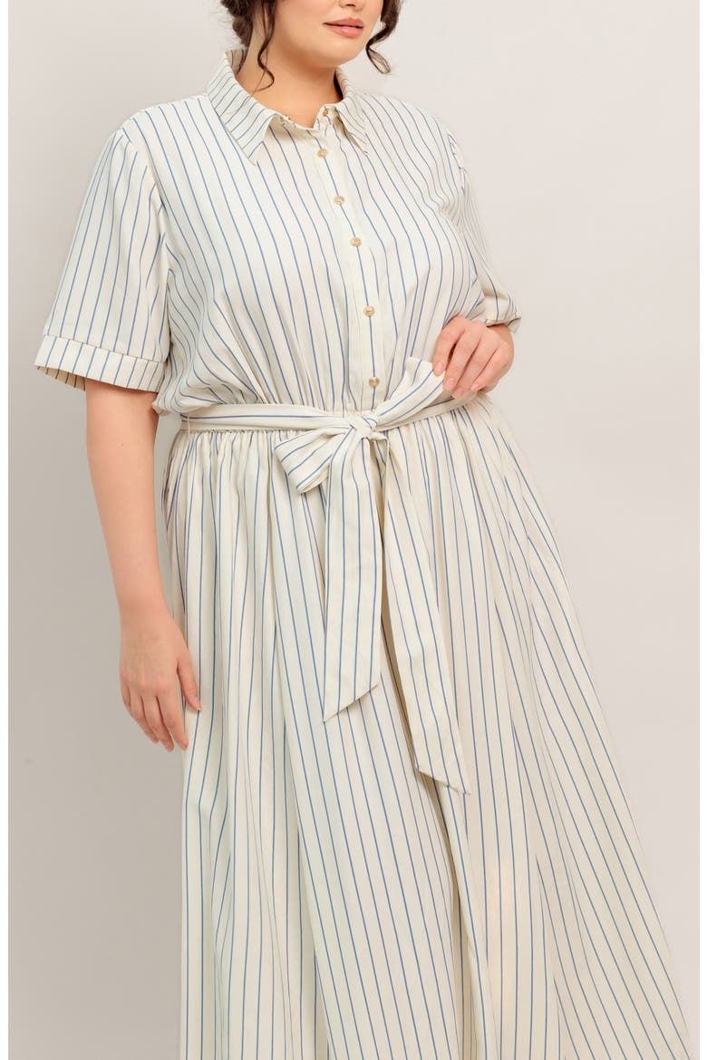 Stripe Tie Waist Midi Dress, Alternate, color, IVORY/ BLUE
