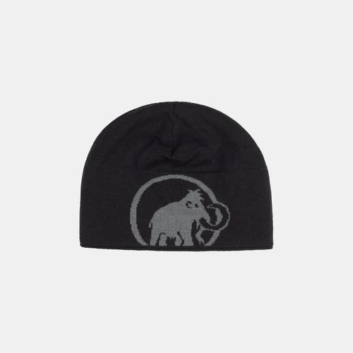Mammut Logo Beanie In Gray