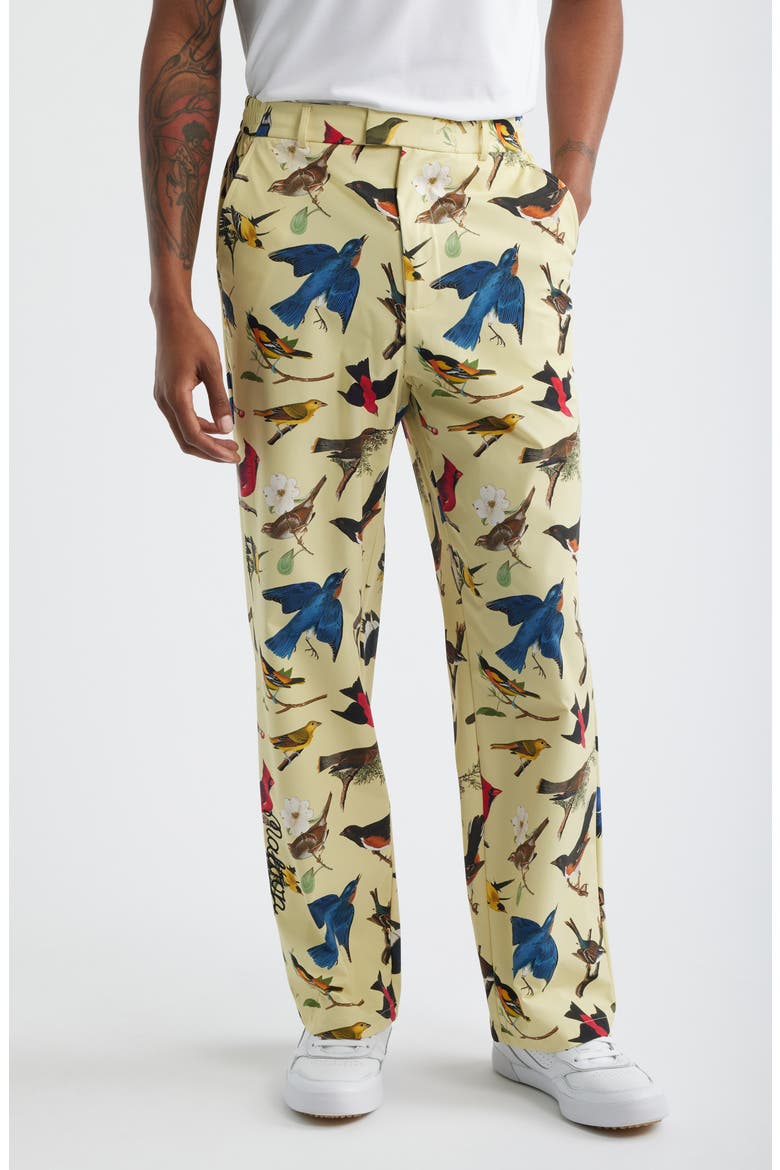 Birds of Georgia Print Magnolia Performance Pants, Main, color, BIRD PRINT