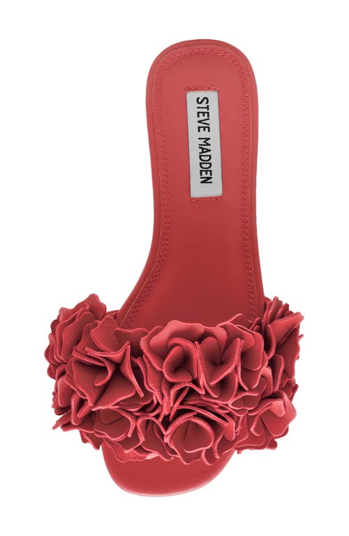 Steve Madden Flo Slide Sandal In Coral