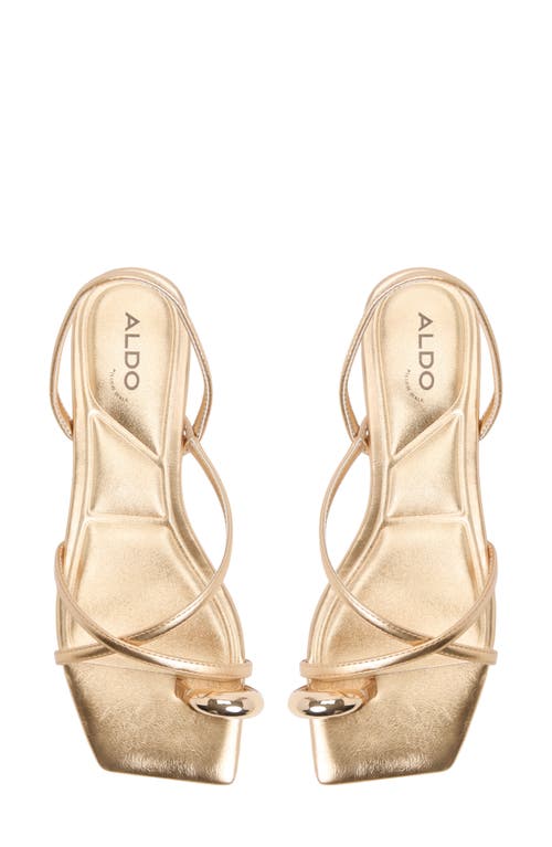 Shop Aldo Synthesa Toe Loop Sandal
