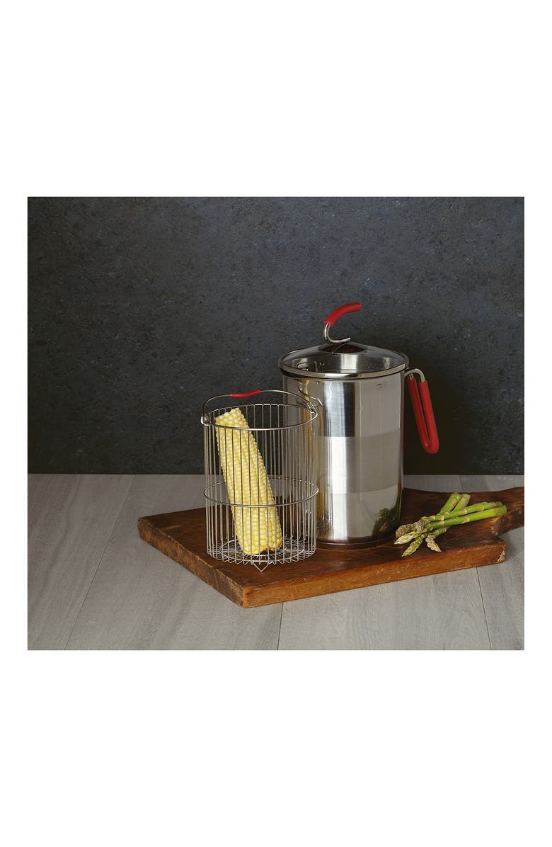 KUHN RIKON SWITZERLAND 4th Burner Pot Large, 12 cup, Alternate, color,