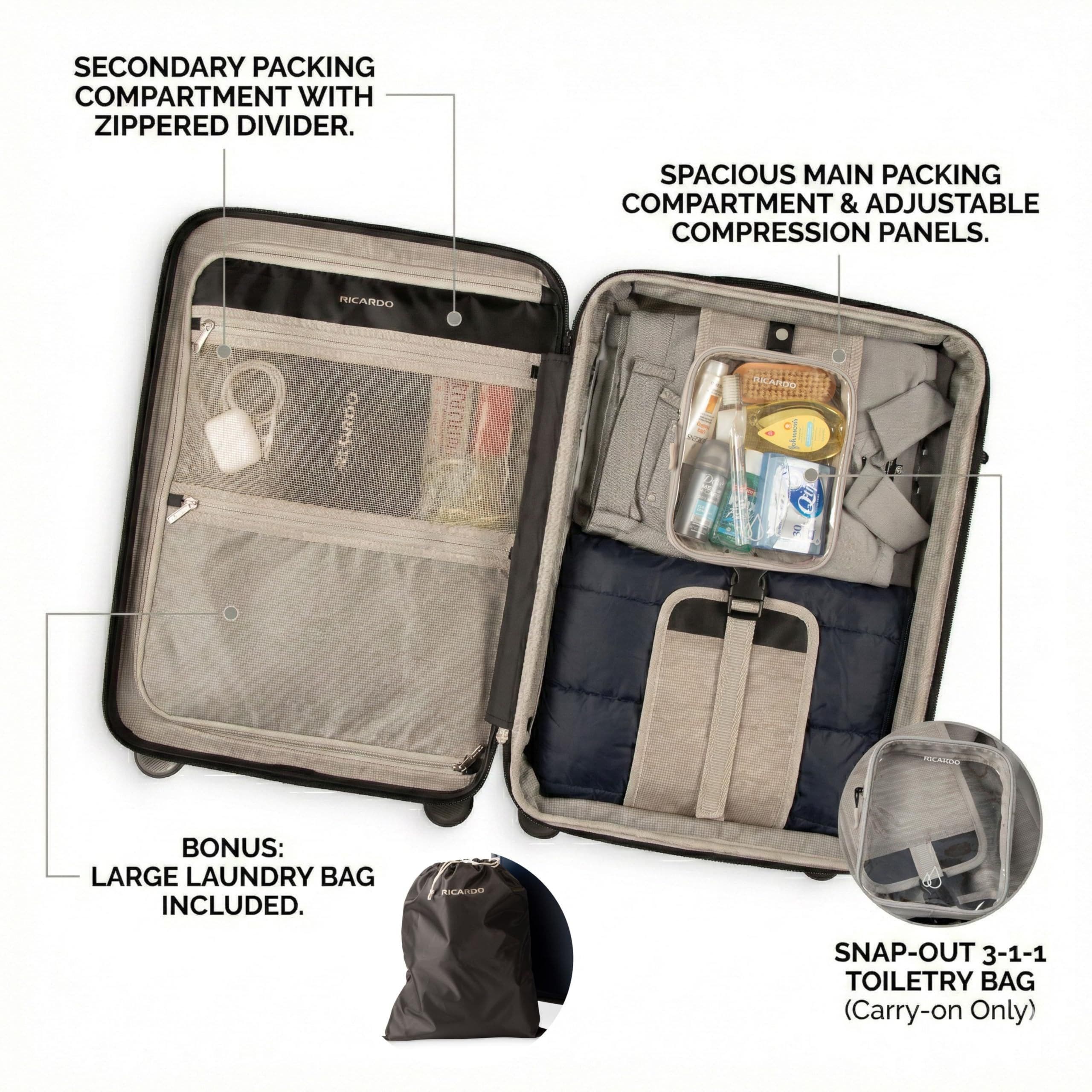 Ricardo Beverly Hills Brentwood Hardside 21" Expandable Carry-on Luggage, Alternate, color, Onyx