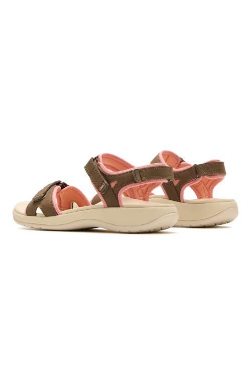 Abeo Goleta Sandal In Brown