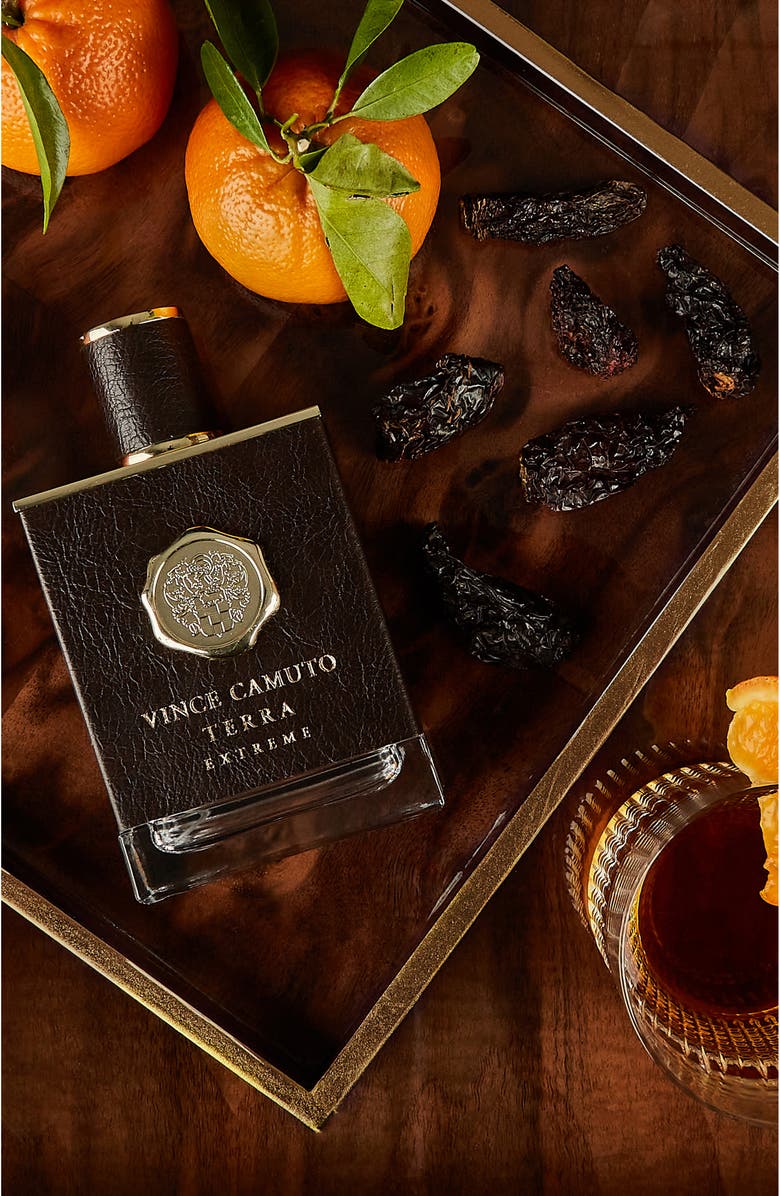 Vince Camuto Terra Extreme Eau de Parfum, Alternate, color, 